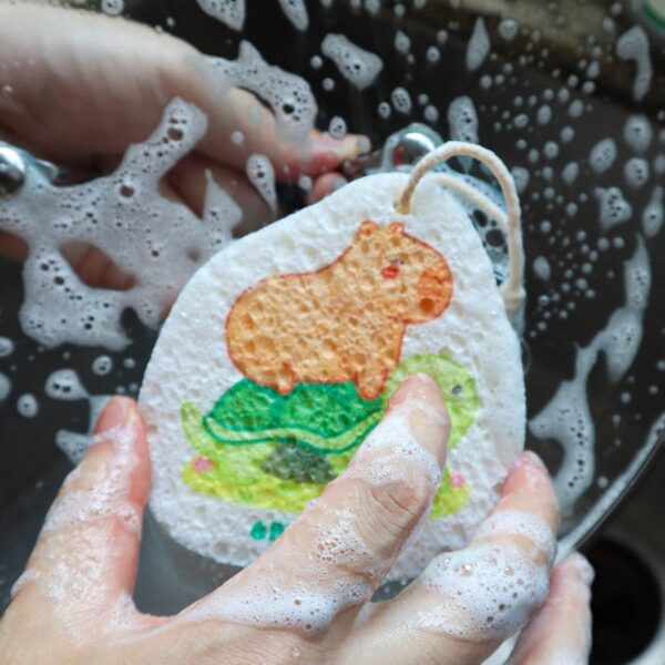 Esponjas POP UP colgantes - Imagen 2